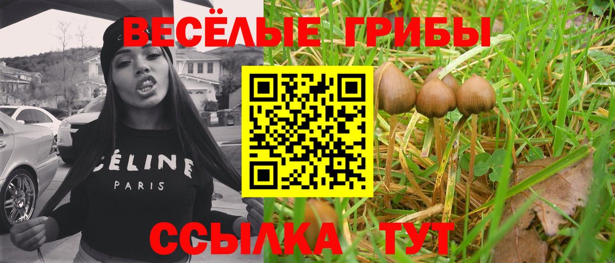 Галлюциногенные грибы мухоморы Аргун