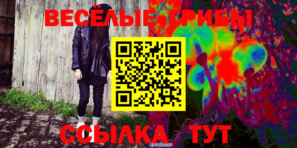 Аргун  Галлюциногенные грибы мицелий  Псилоцибиновые грибы Psilocybine cubensis  Вход с VPN 